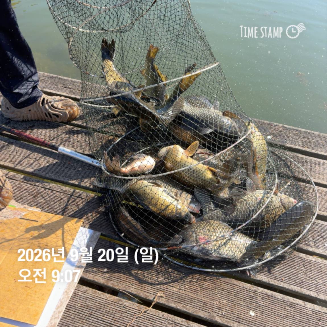 KakaoTalk_20260922_093105997_29.jpg