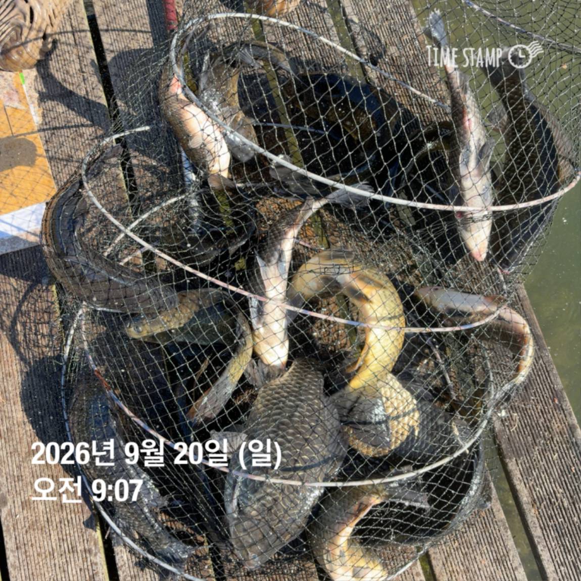 KakaoTalk_20260922_093105997_28.jpg