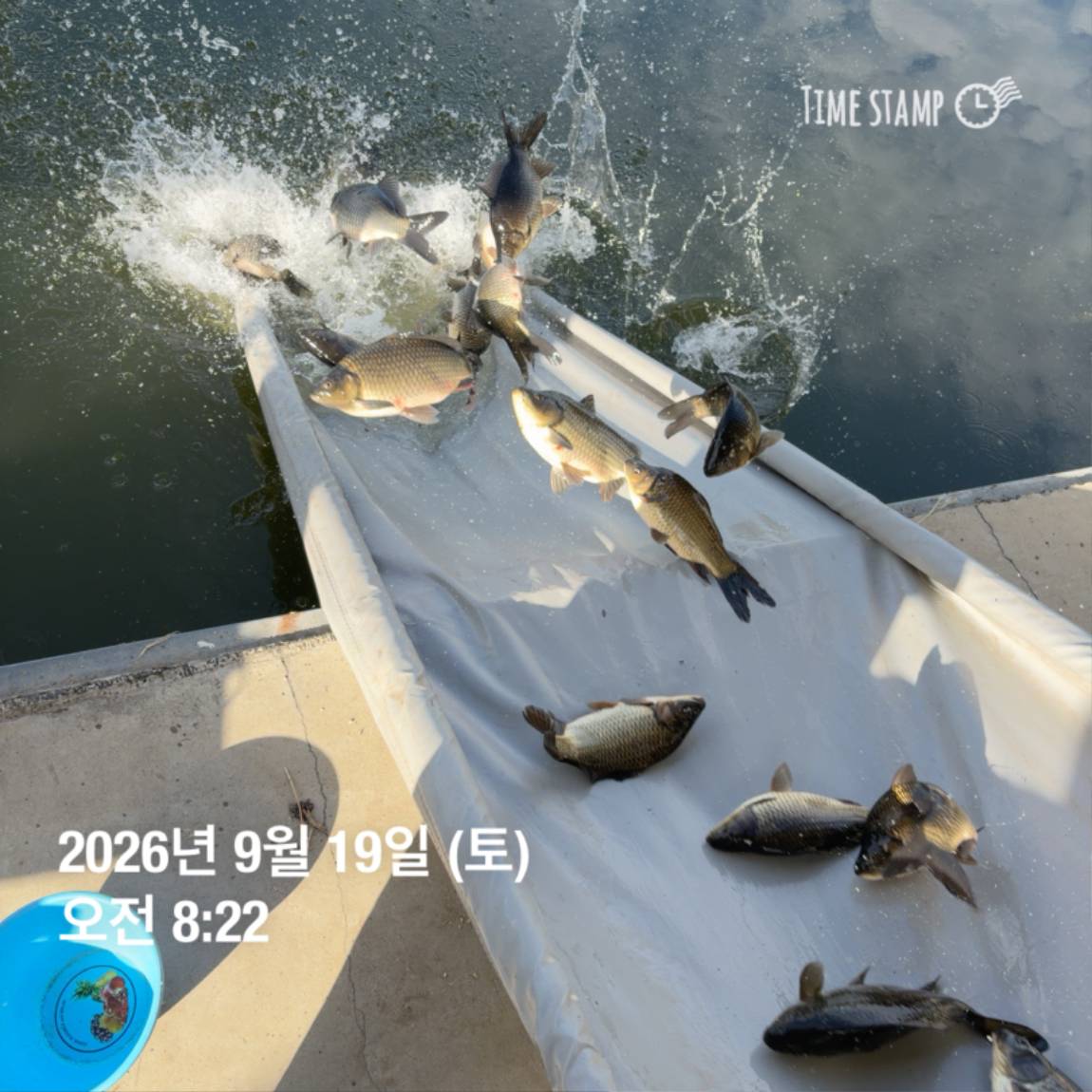 KakaoTalk_20260922_093110100_05.jpg