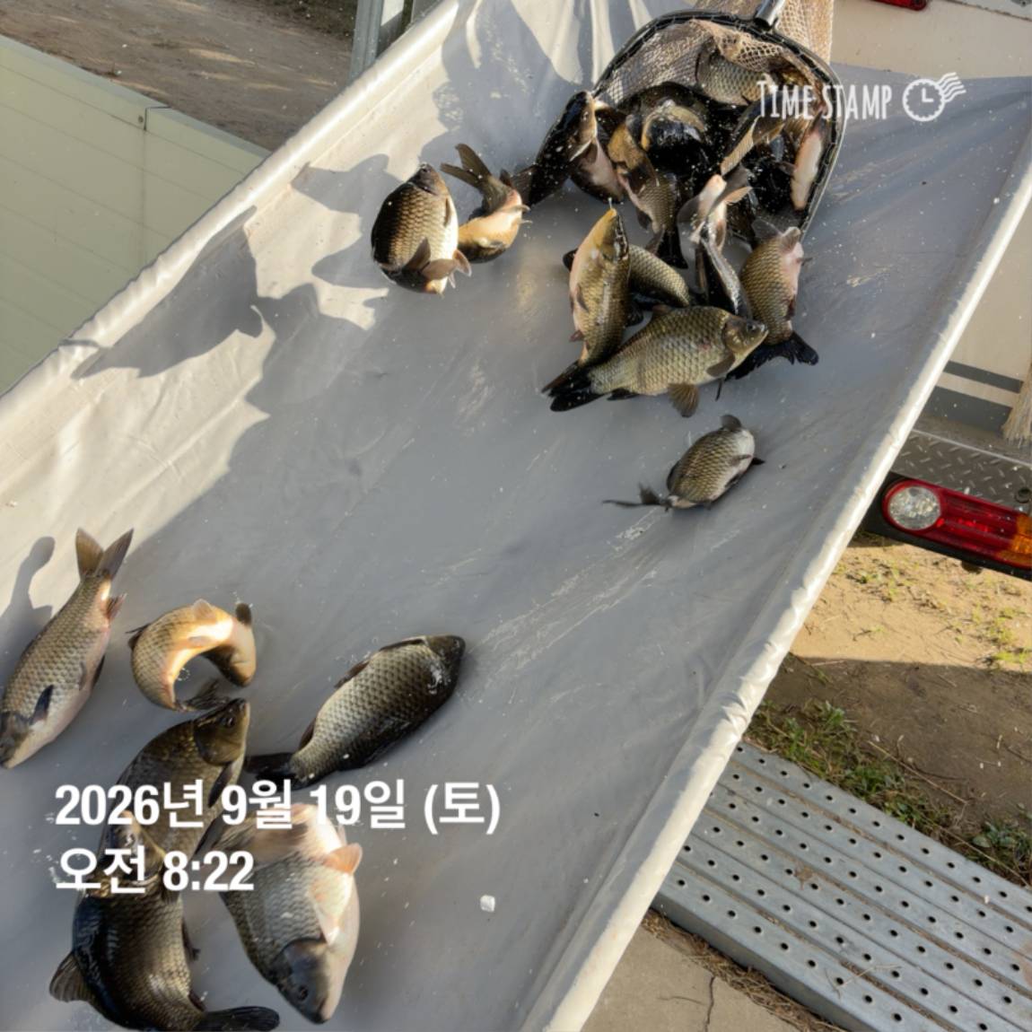 KakaoTalk_20260922_093110100_04.jpg