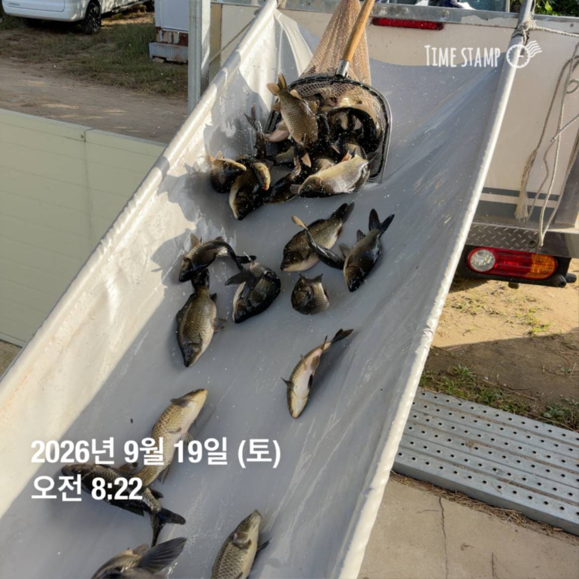 KakaoTalk_20260922_093110100_10.jpg