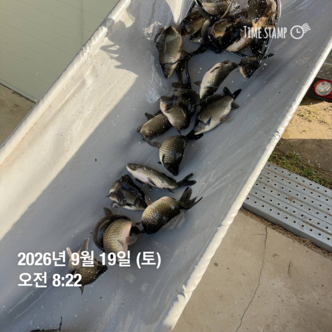 KakaoTalk_20260922_093110100_13.jpg