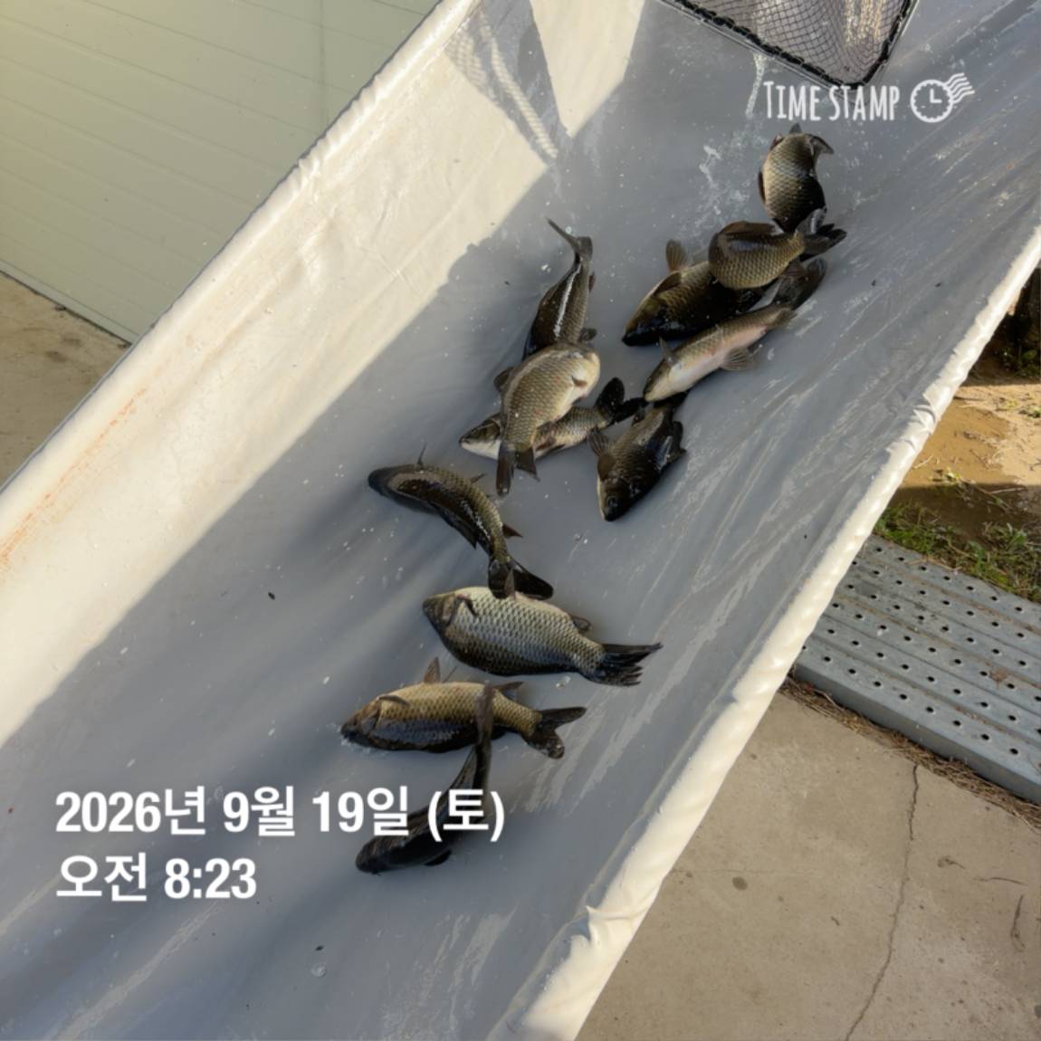 KakaoTalk_20260922_093110100_16.jpg