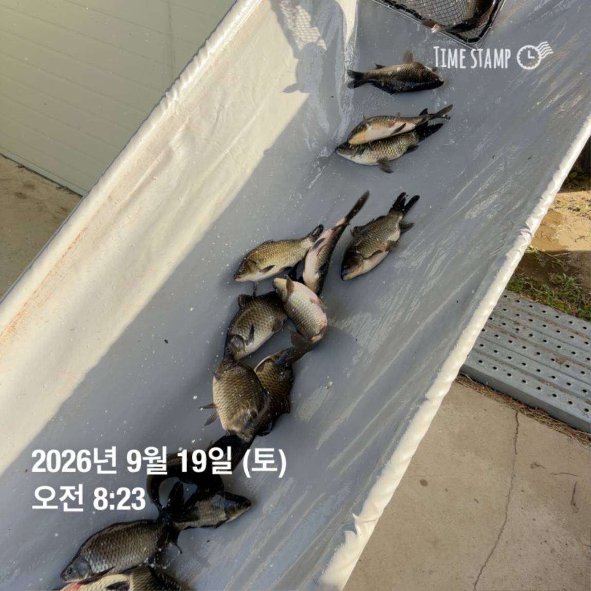 KakaoTalk_20260922_093110100_15.jpg
