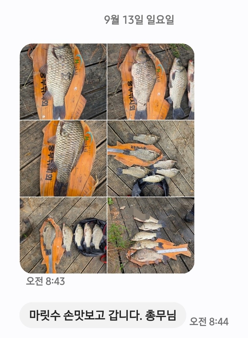 Screenshot_20260913_091308_Messages.jpg