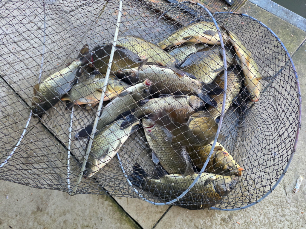 abKakaoTalk_20260922_085310858_09.jpg