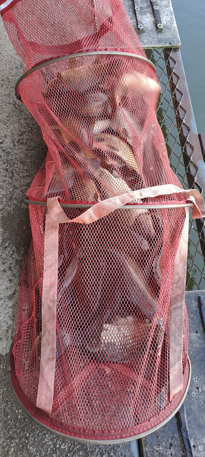 KakaoTalk_20260923_085722684_13.jpg