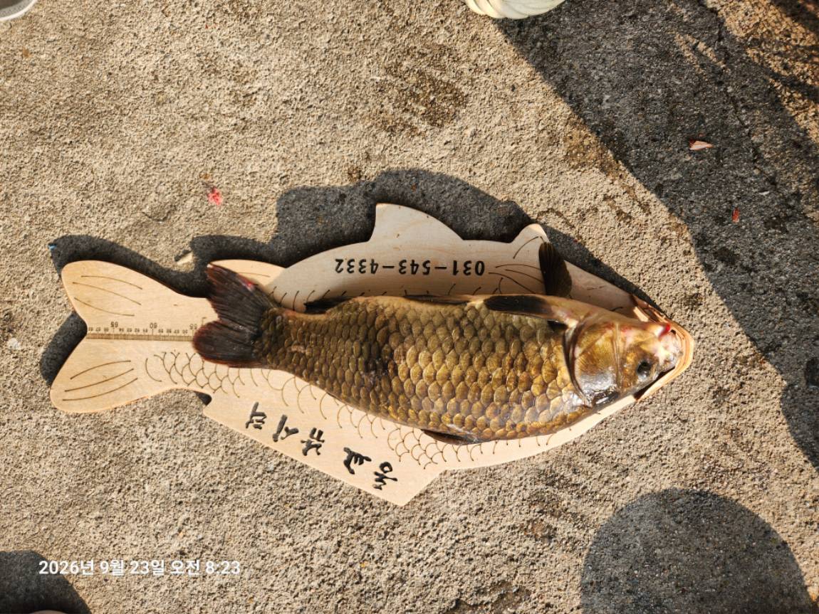 KakaoTalk_20260923_140143673_23.jpg