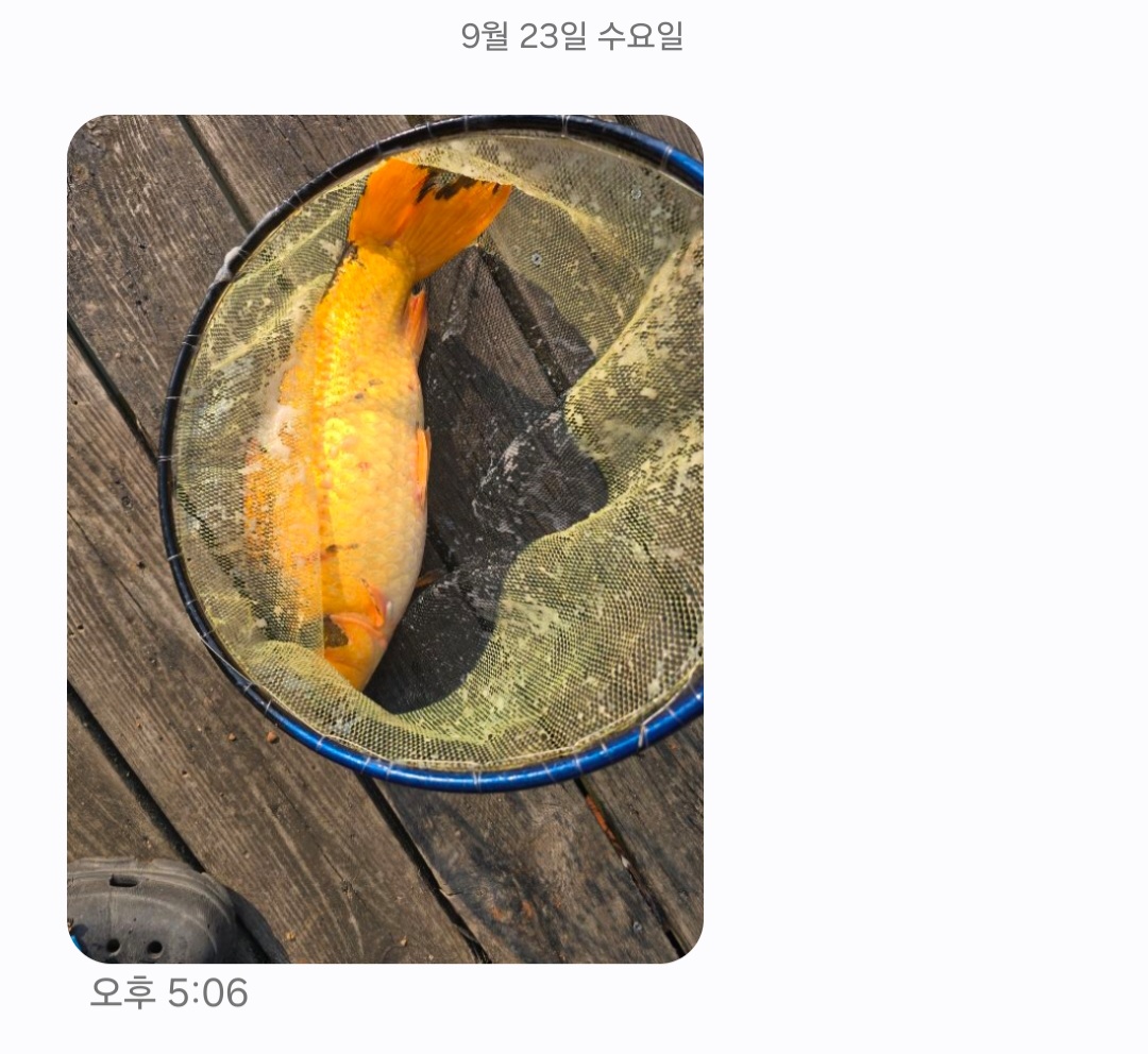 KakaoTalk_20260923_174555117.jpg