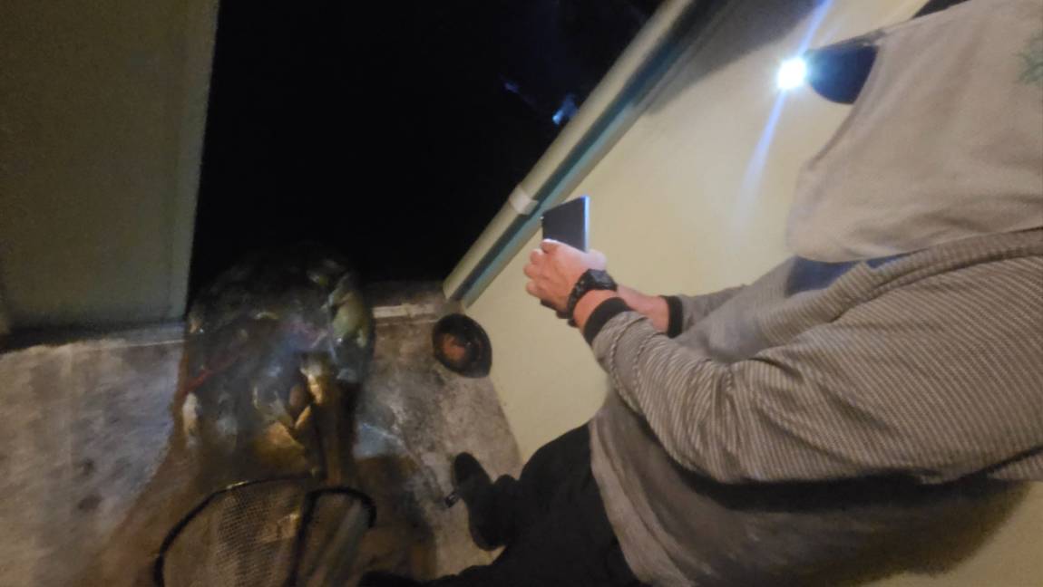 20260922_193338.jpg