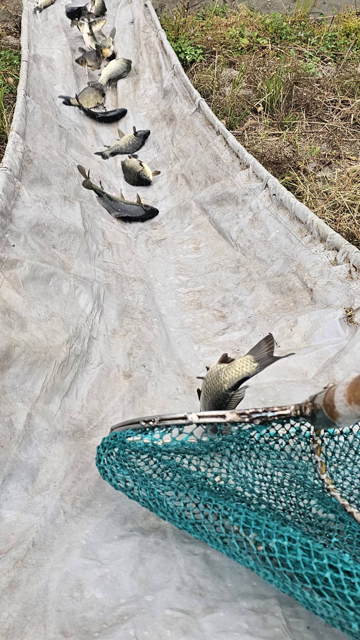 20251003_151518(2).jpg