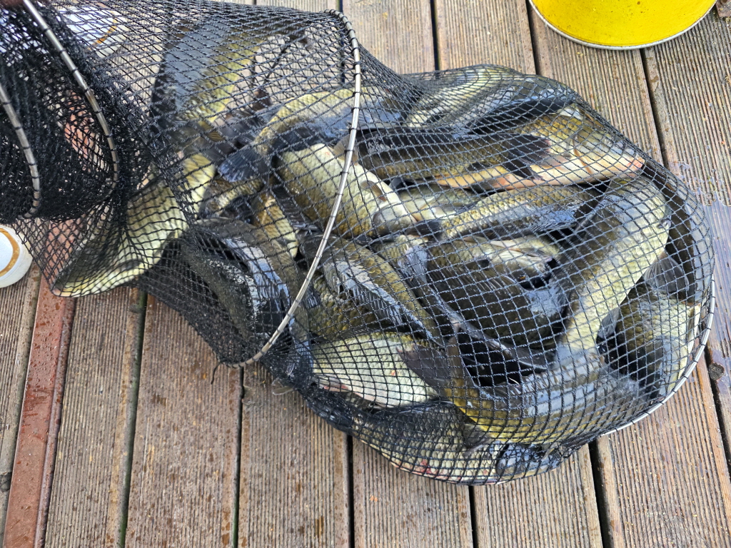 abKakaoTalk_20260924_110354782_24.jpg