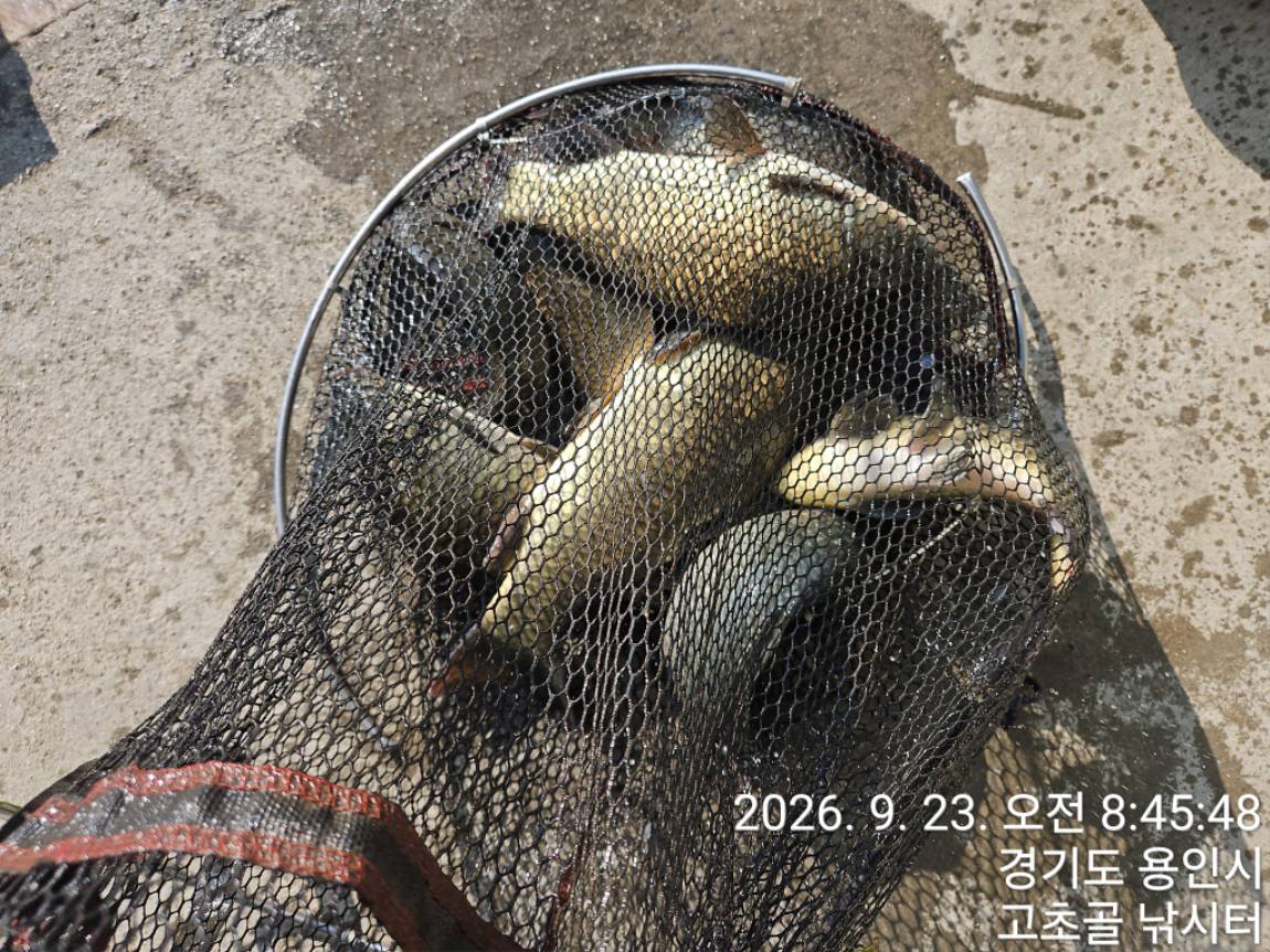 1790209802654.jpg
