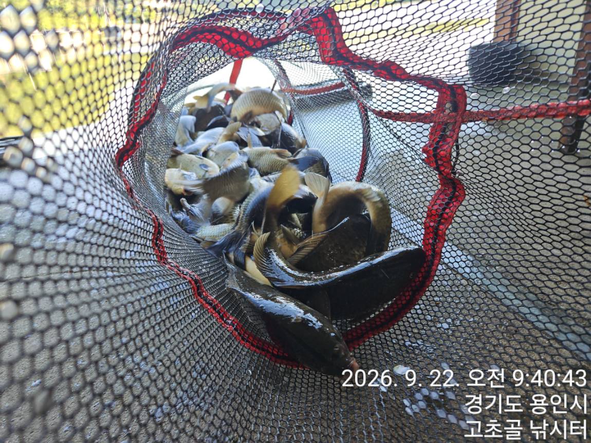 1790209810258.jpg