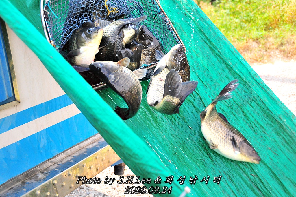 LSH_6823.JPG
