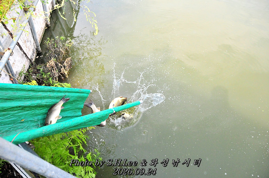 LSH_6810.JPG