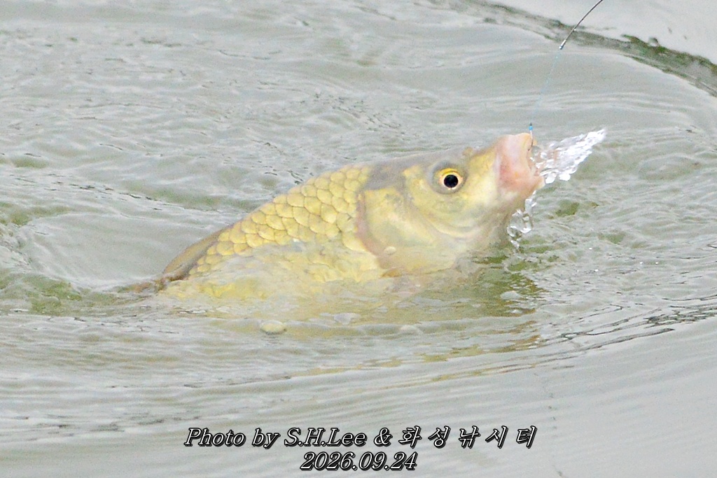 LSH_0307.JPG
