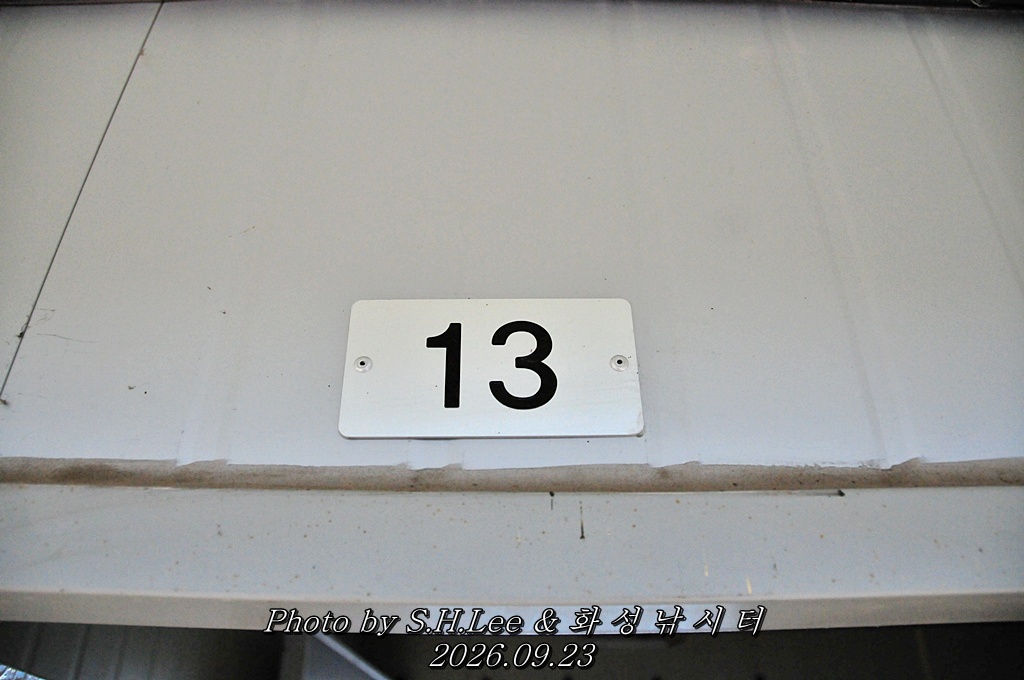 LSH_6709.JPG