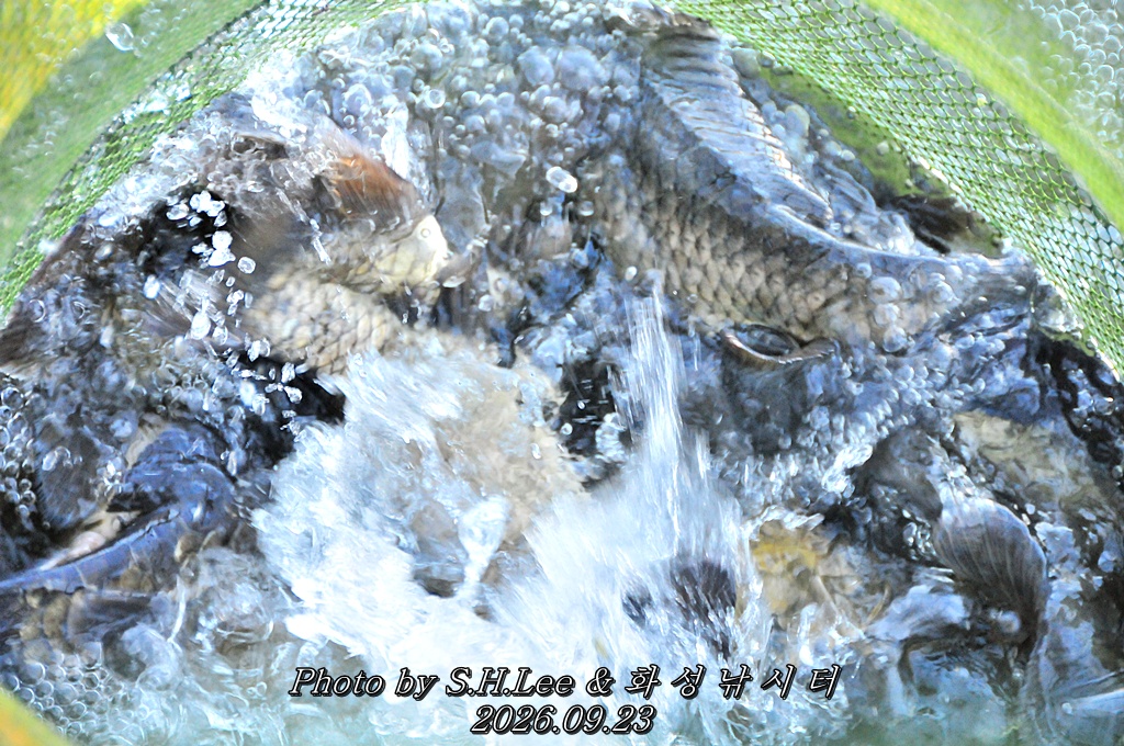 LSH_6711.JPG