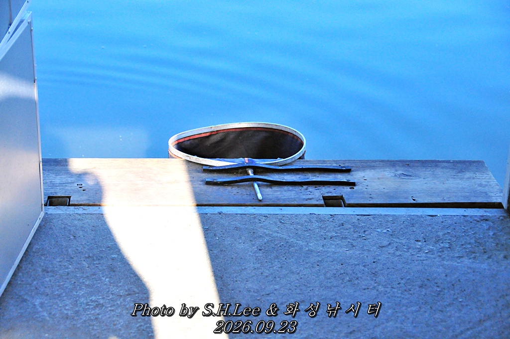 LSH_6713.JPG