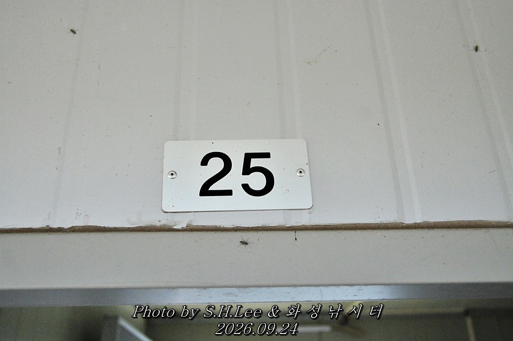 LSH_6729.JPG