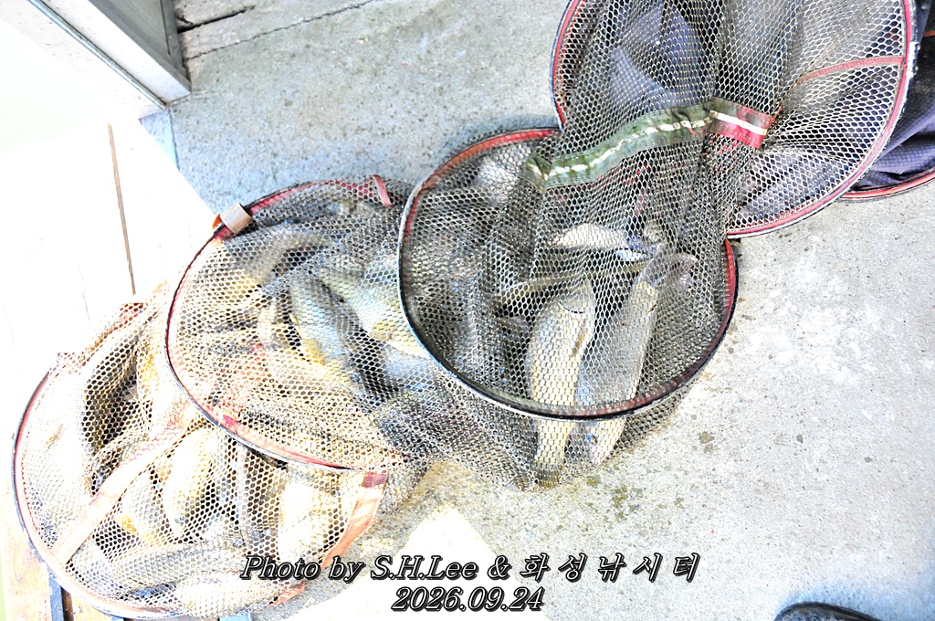 LSH_6734.JPG