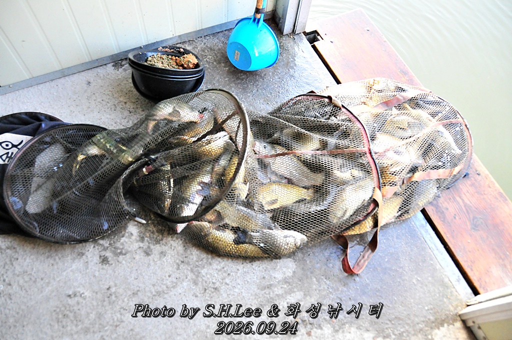 LSH_6738.JPG