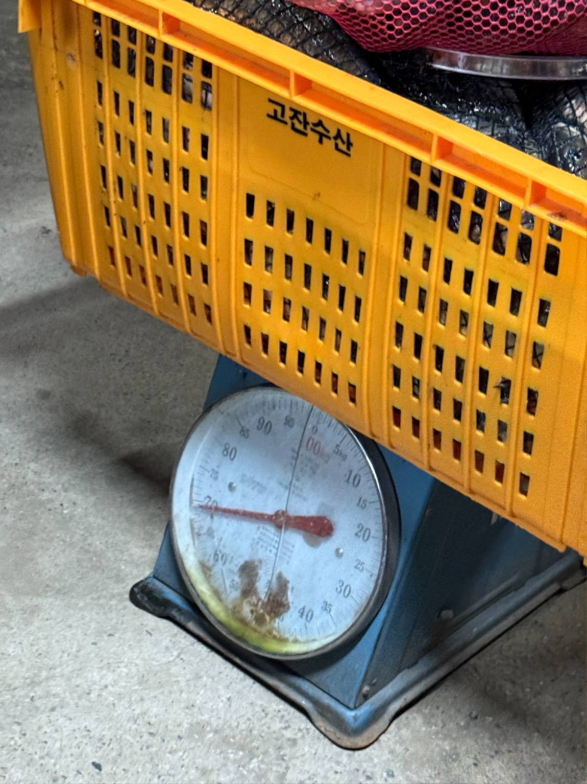 KakaoTalk_20260925_092222699_21.jpg
