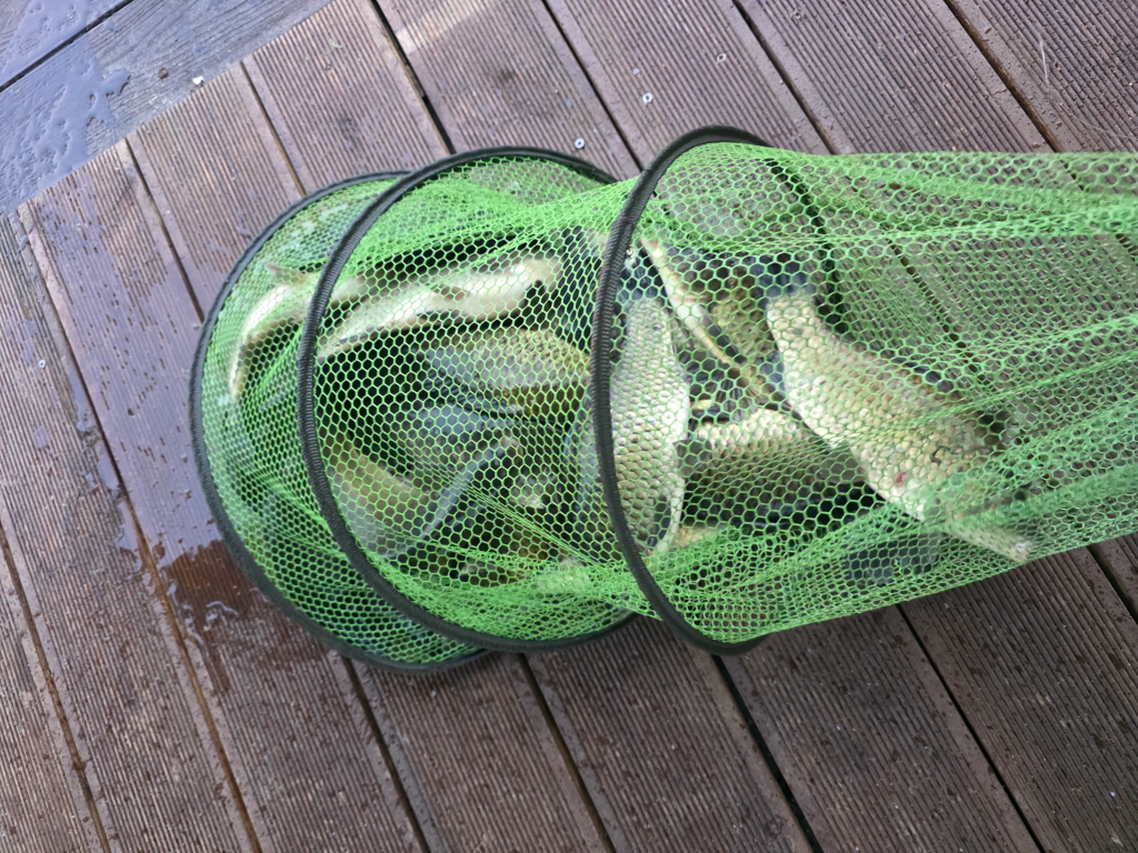abKakaoTalk_20260925_160551646_20.jpg