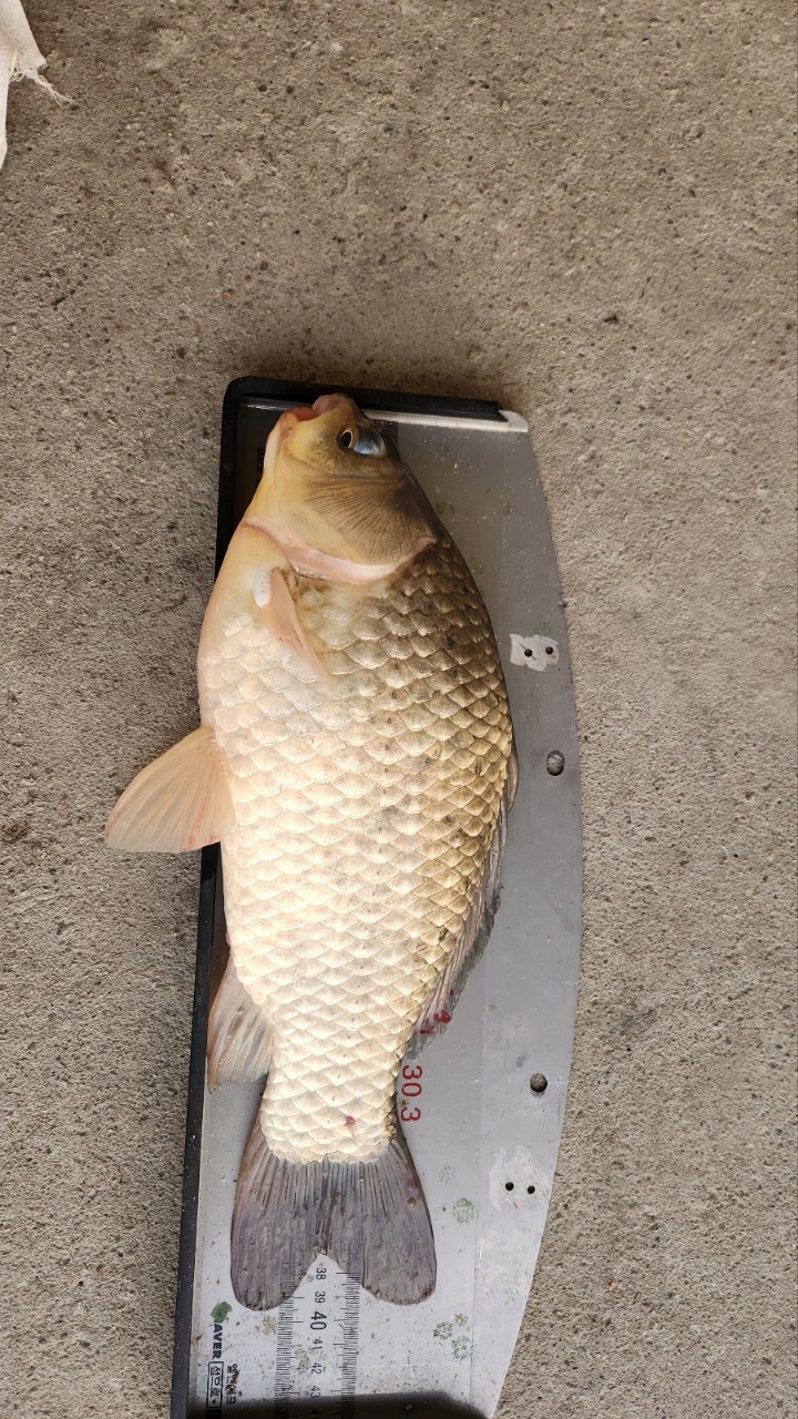 KakaoTalk_20260925_194025386.jpg