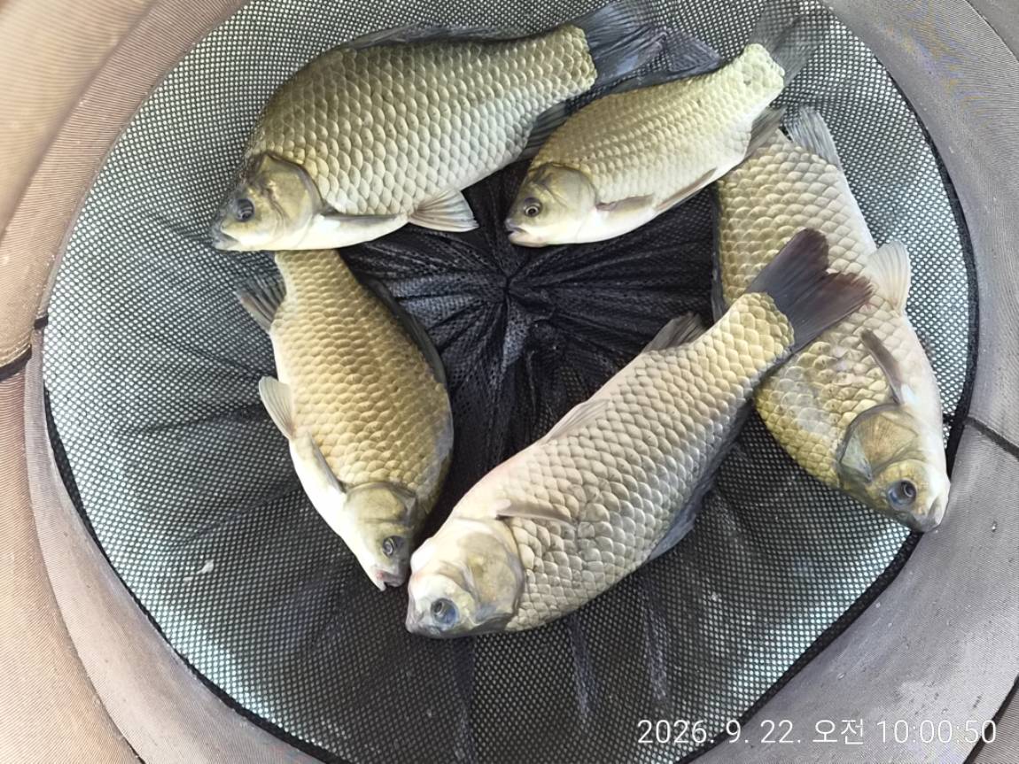 KakaoTalk_20260925_214914564_02.jpg