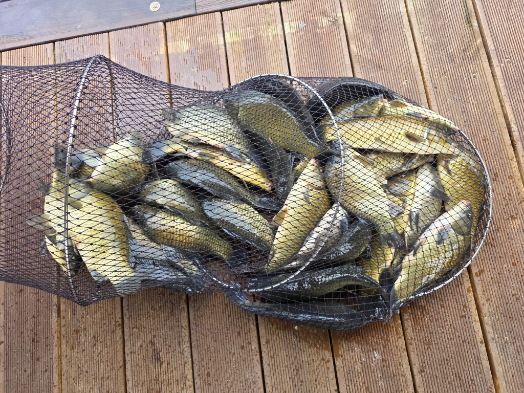 abKakaoTalk_20260926_100440877_04.jpg