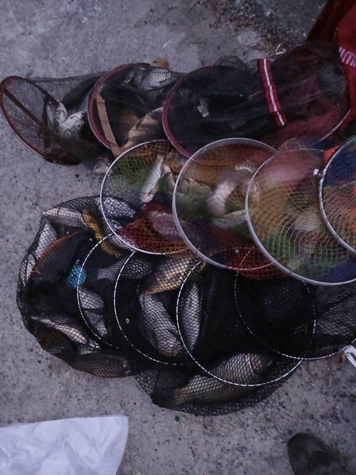 KakaoTalk_20260925_102954083.jpg