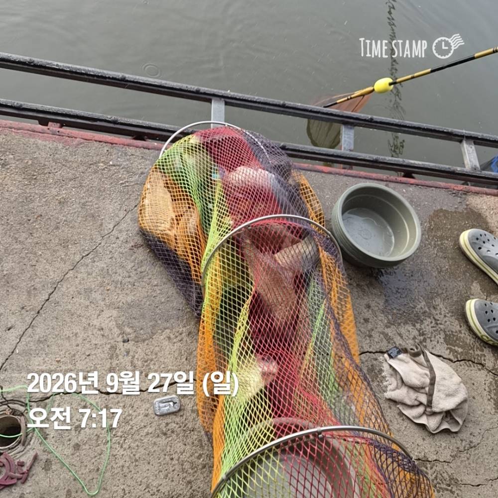 1790565710401.jpg