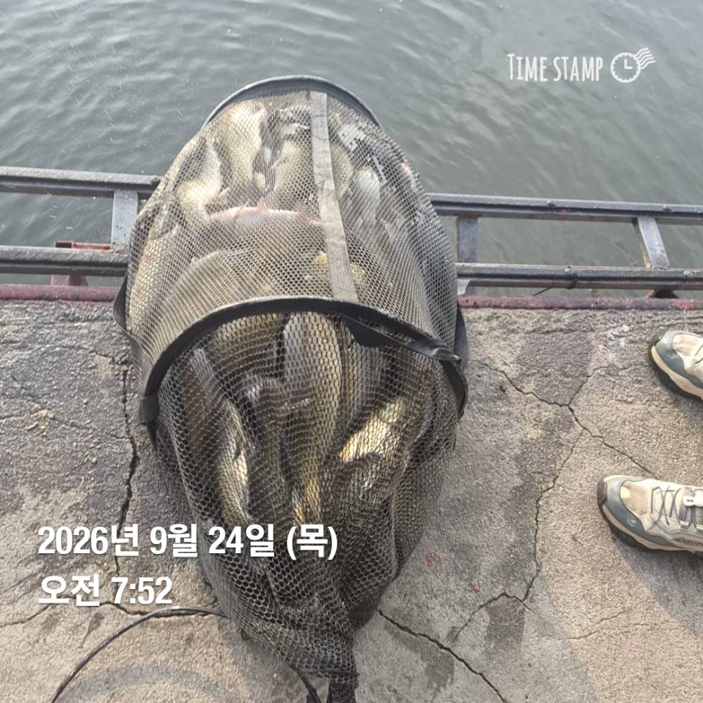 1790565719706.jpg