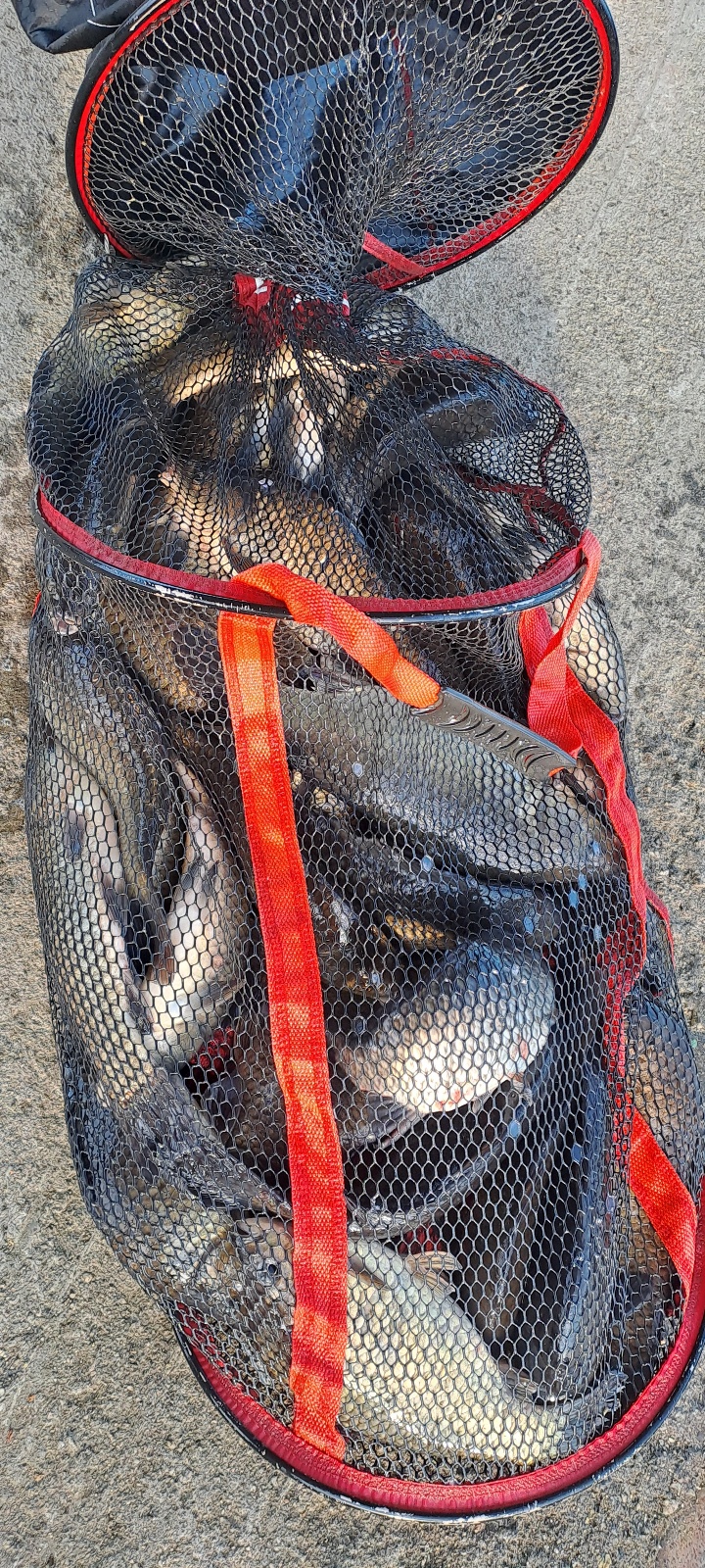 KakaoTalk_20260928_092923795_15.jpg
