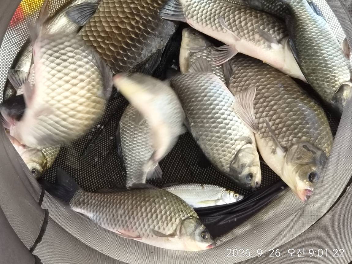 KakaoTalk_20260926_173047917_07.jpg
