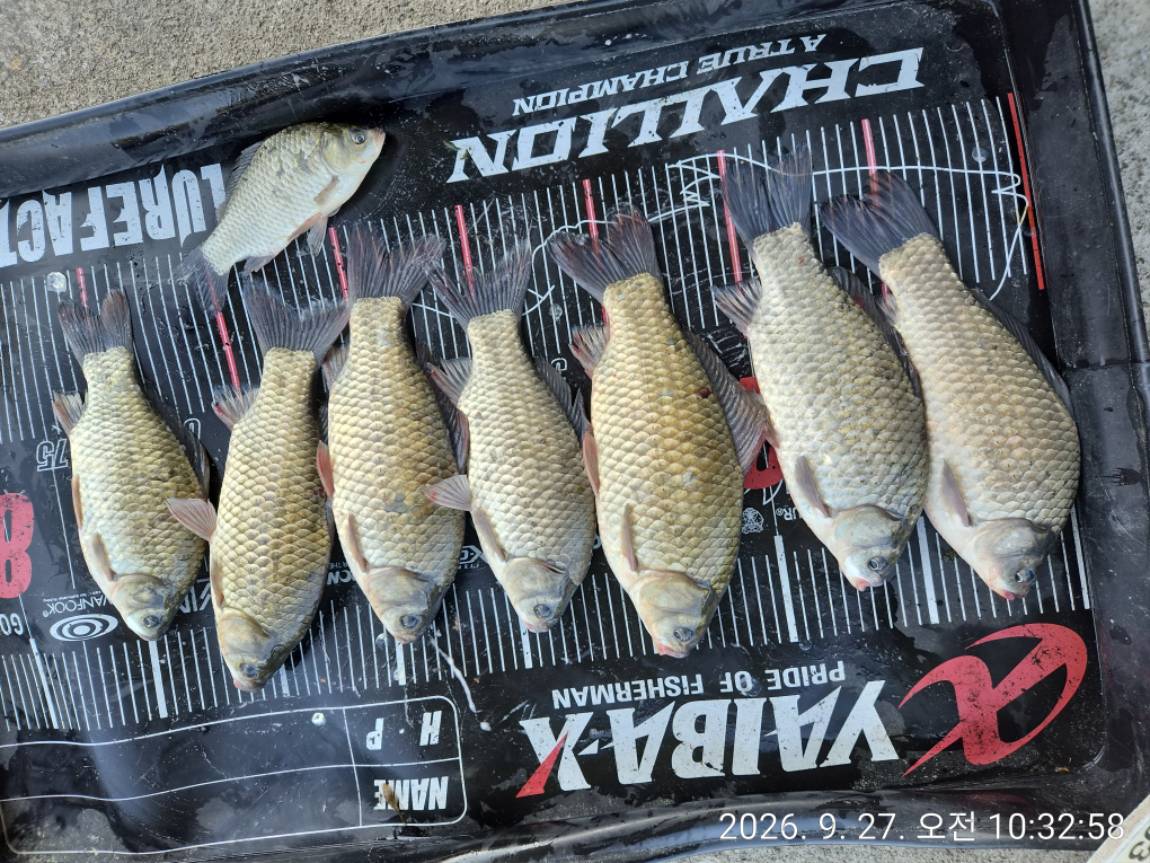 KakaoTalk_20260928_215223228_10.jpg