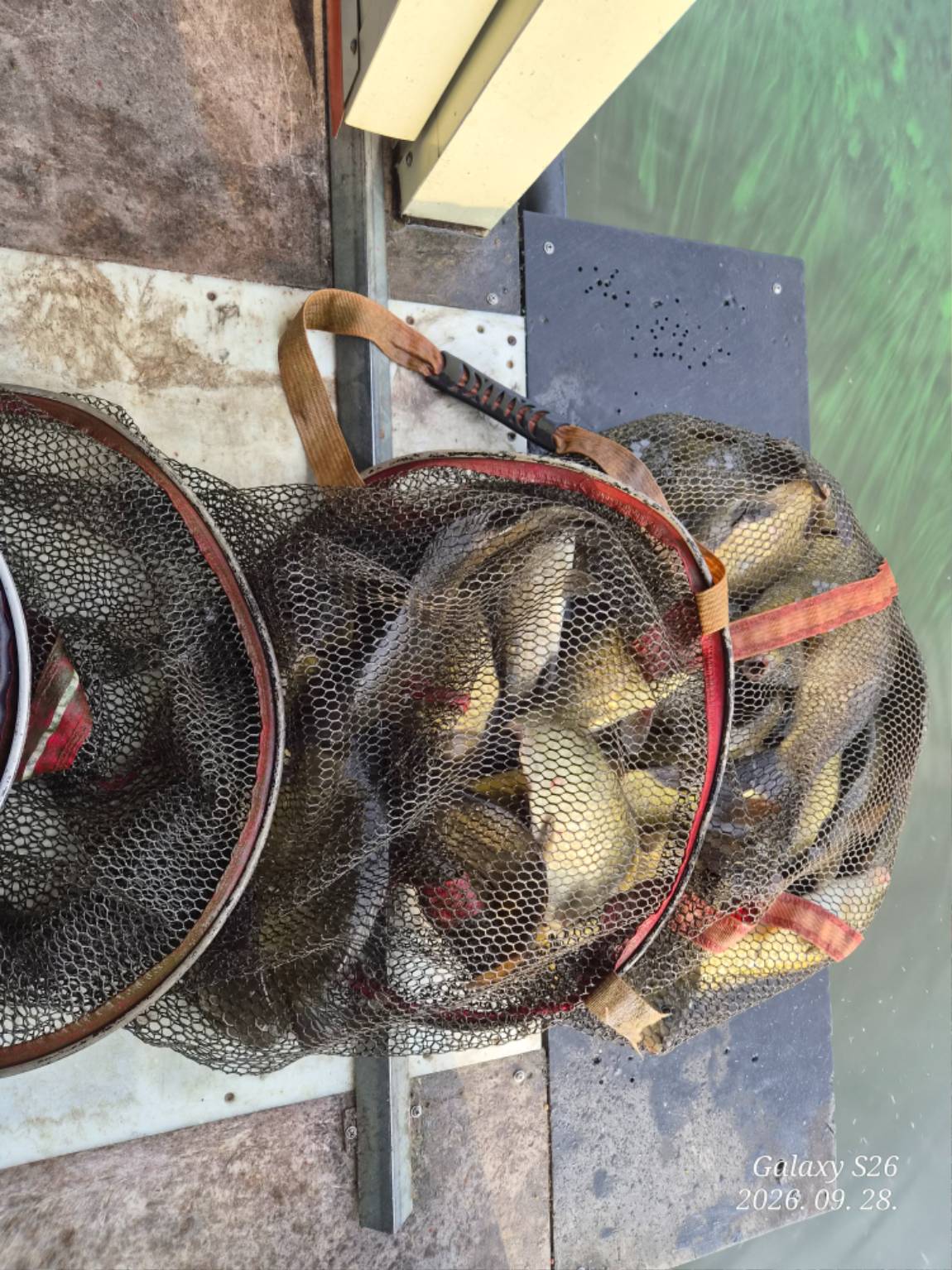 20260928_081817.jpg