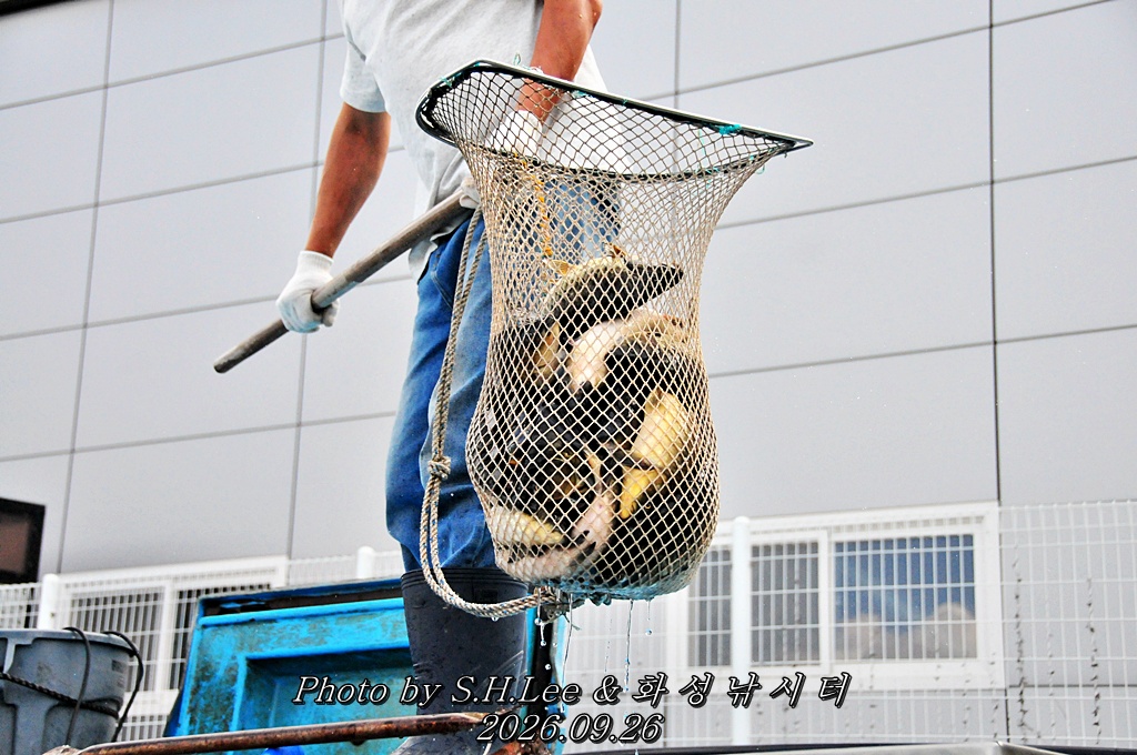 LSH_6909.JPG