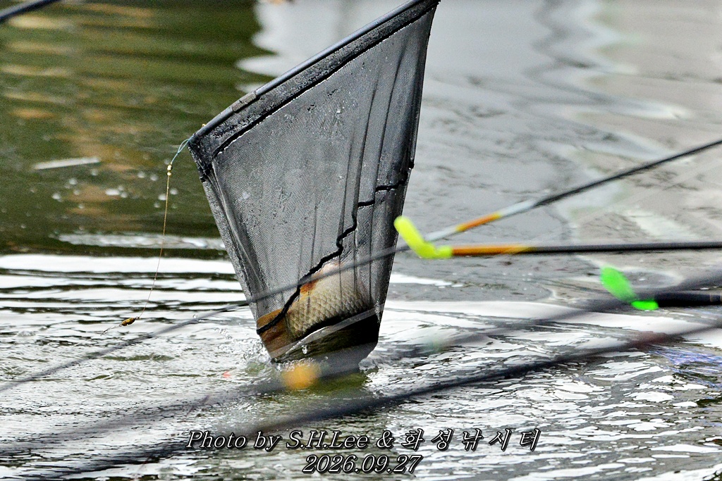 LSH_0361.JPG