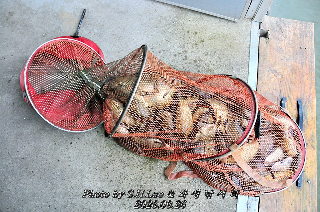 LSH_6862.JPG