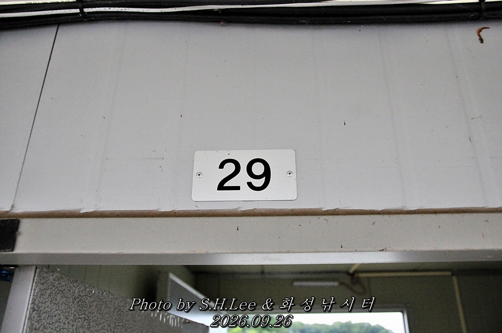 LSH_6864.JPG