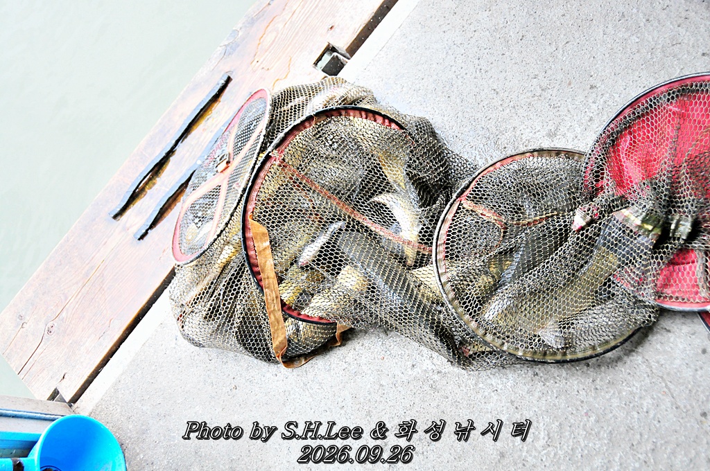 LSH_6876.JPG