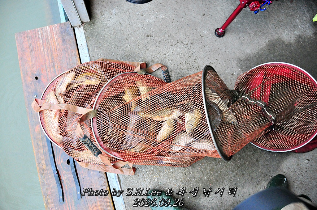 LSH_6888.JPG