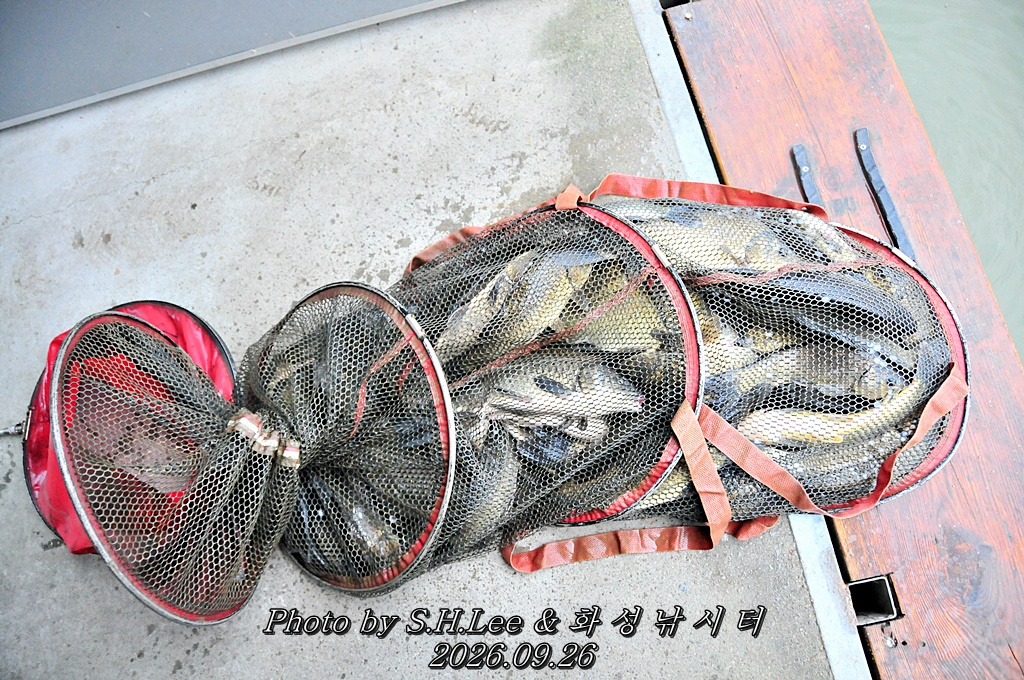 LSH_6896.JPG