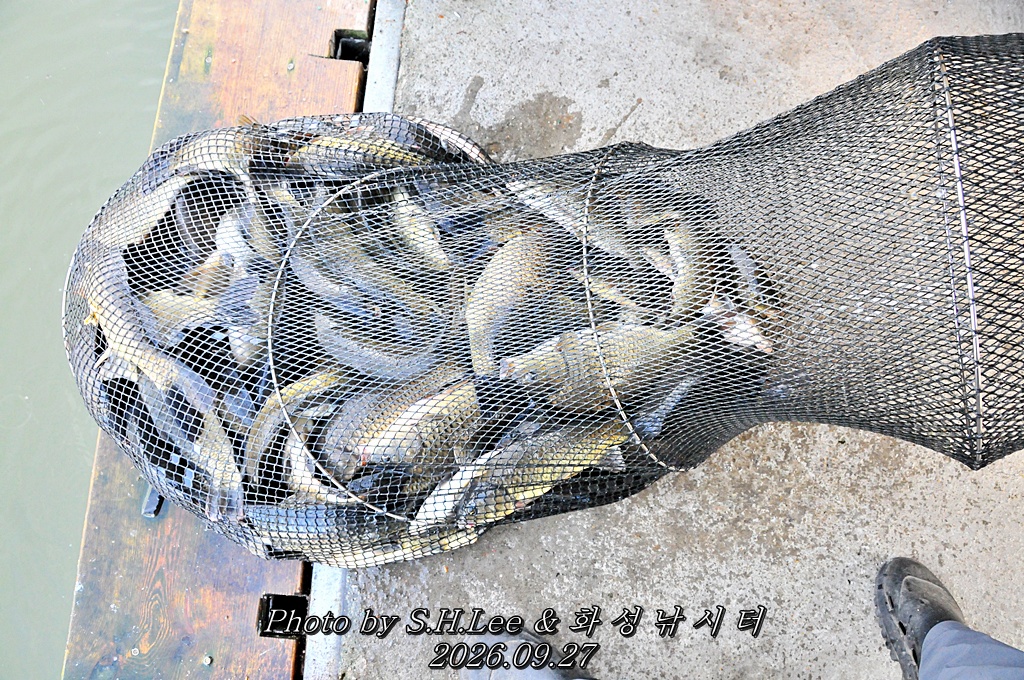 LSH_7034.JPG