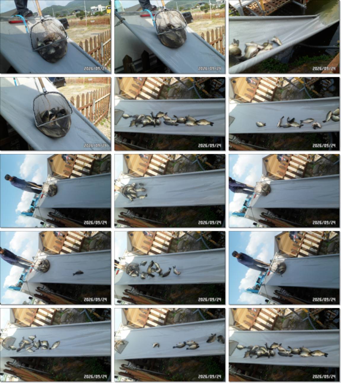SAM_8021-tile.jpg