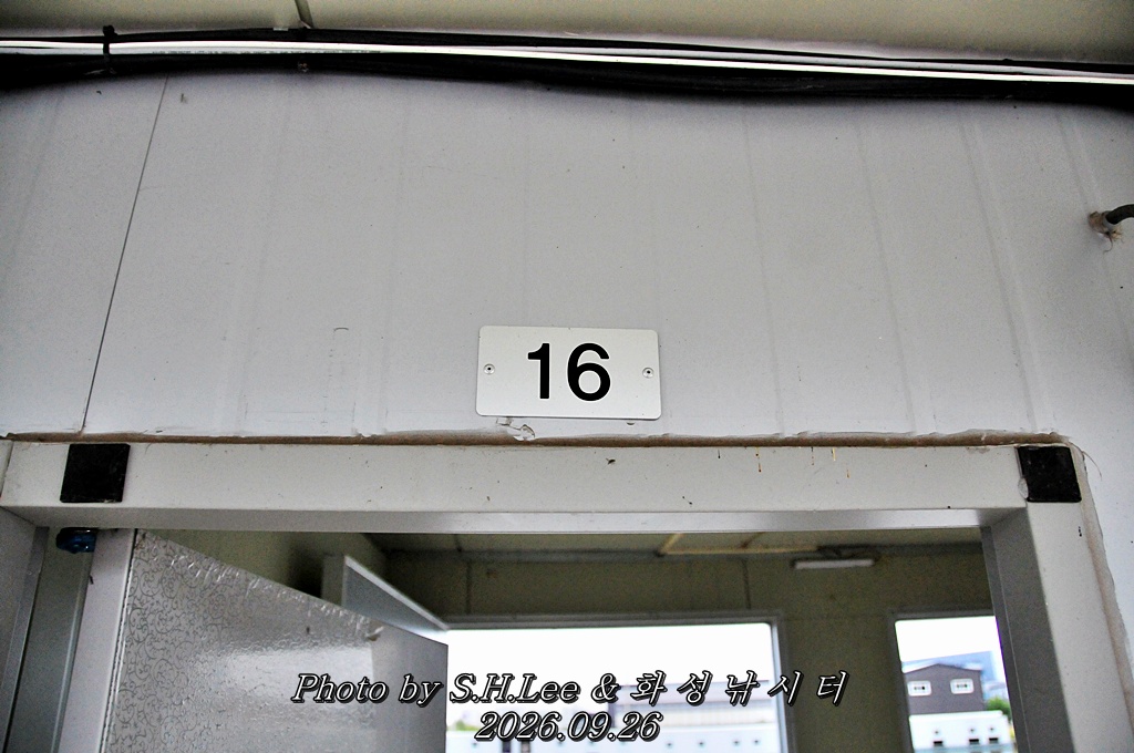 LSH_6853.JPG