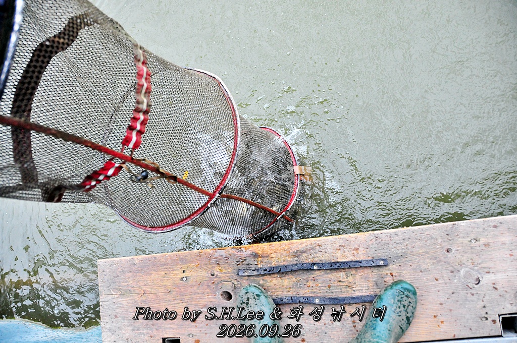 LSH_6855.JPG
